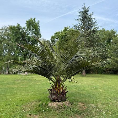 Appartement Familial Au Bord De La Marne, Jardin 8000M2, Piscine, Court De Tennis, Terrasse, Parking Gratuit Proche Disneyland Isles-lès-Villenoy Exterior foto